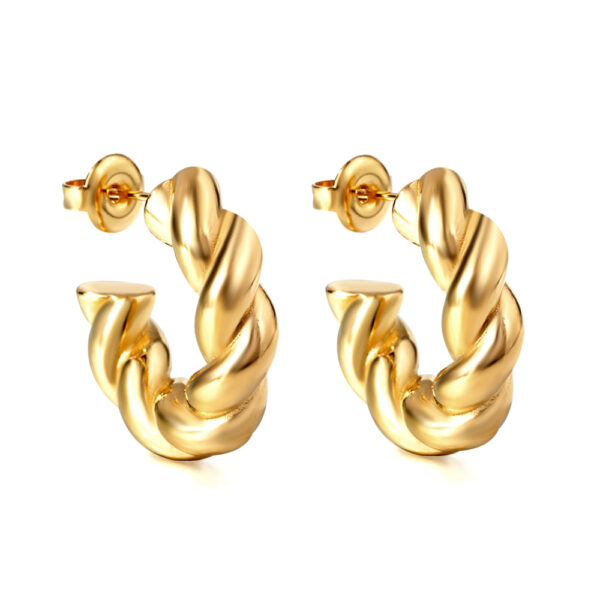 Twisted Hoop Earrings